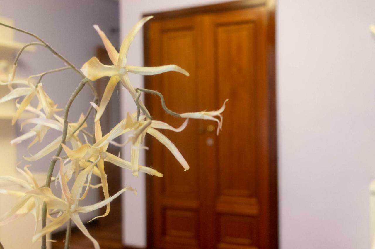 Funi-Campo Volantin Apartman Bilbao Kültér fotó